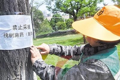 农药残留