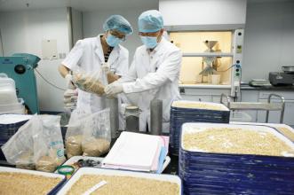 呕吐毒素检测 呕吐毒素检测